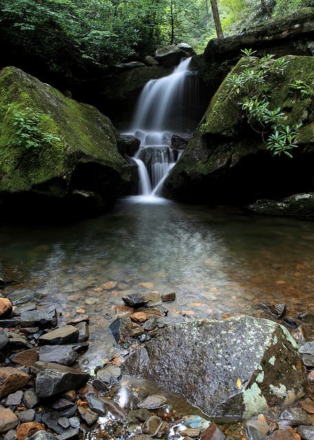 Great Smoky Mountains