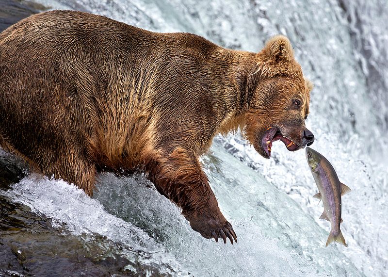 Katmai