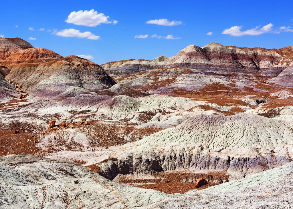 Petrified Forest